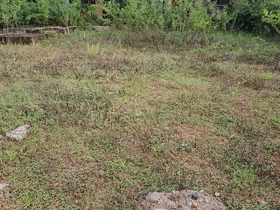 Residential Land in a Good Location