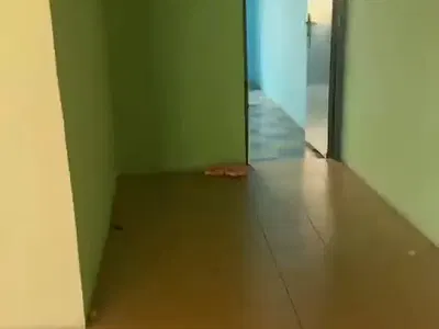 Spacious 3 Bedroom Apartment (Upstairs)