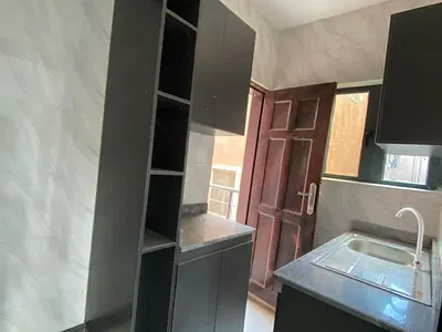Luxurious Mini Flat