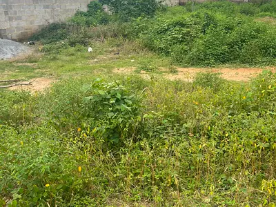 1000SQMS Land