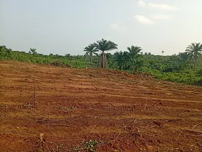 Genuine Land Close to the Proposed 4th Mainland Bridge