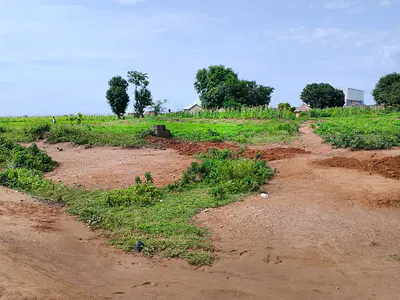 Plot (1000SQM)