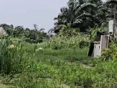 Prime Joint Venture Deal. 2 Hectares for Mass Housing Estate