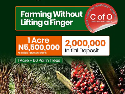 Titled Farmland for Sale -- C of O, 1 Acre with 60 Palm Trees, Flexible