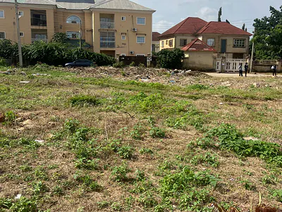 School Land on a Tarred Road