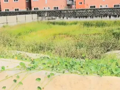 Land Measuring 734SQM