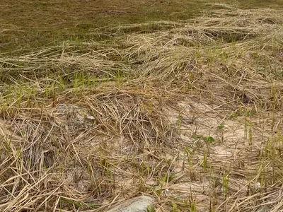 High Density Land