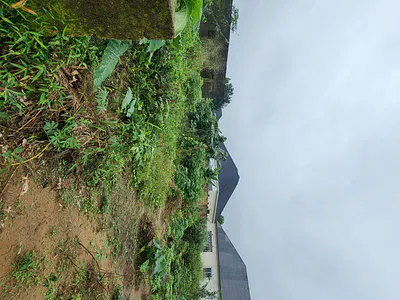 Fantastic Plot of Dry Land