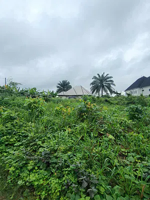 Strategically Located Plot of Dry Land
