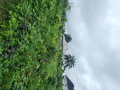 Strategically Located Plot of Dry Land