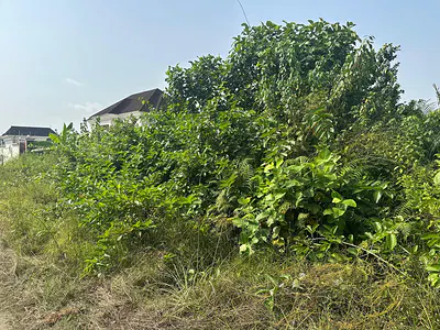 Strategically Positioned Land