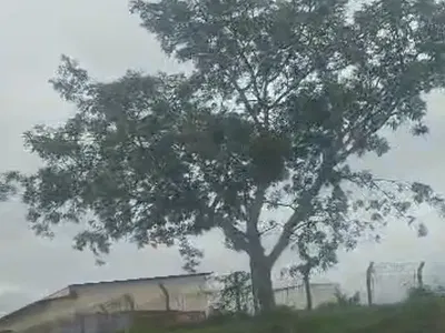 4.35 Hectares of Land