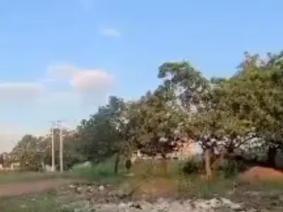 1.3 Hectare of Land