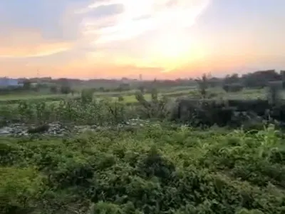 1100 SQM of Land
