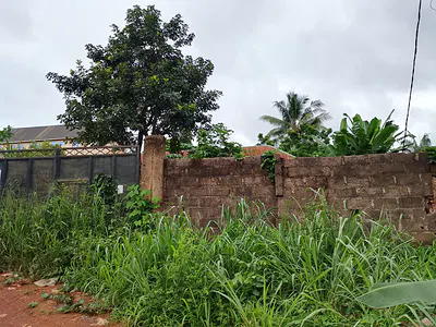 Land