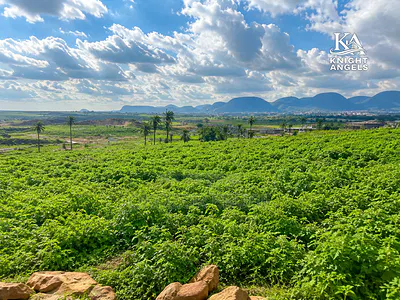 143.60 Hectares of Prime Development Land