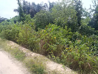 1000SQM of Land in a Fast Developing Estate