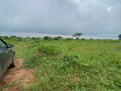 Buy and Build Cofo Land