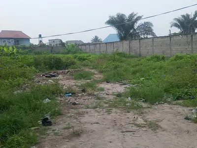 2 Plots of Land