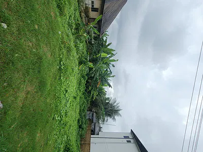 Fantastic Plots of Dry Land