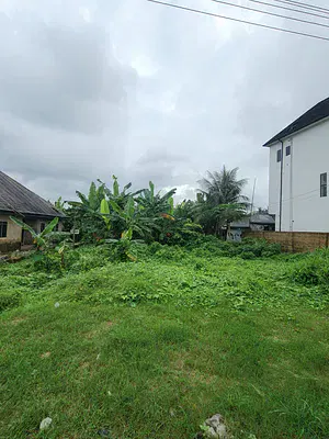 Fantastic Plots of Dry Land
