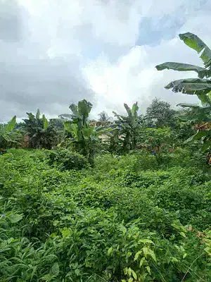 Strategically Located Plot of Dry Land
