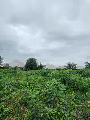 Fantastic Plots of Land
