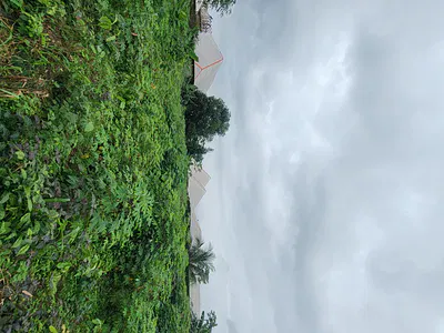 Fantastic Plots of Land
