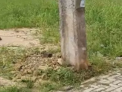 Dry Land Measuring 4, 570SQM