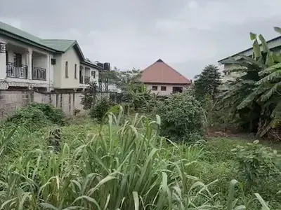A Fully Plot of Land