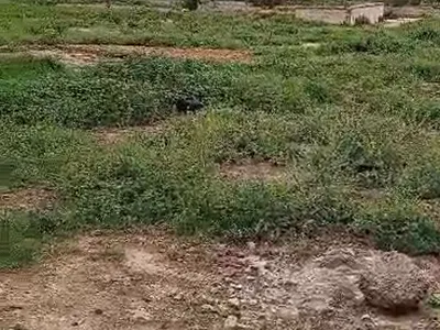 1.04 Hects of Commercial Not Specify Plot on a Tarred Express Road
