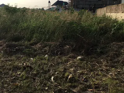 Full Plot of Water Front Land