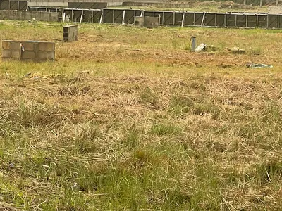 567 SQM2 Land