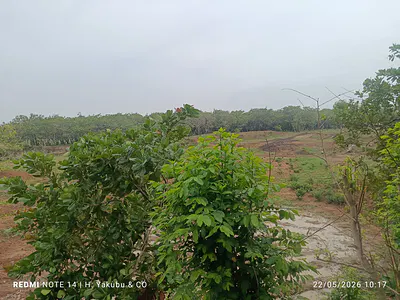 Plot of Land