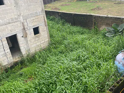 One Plot of Land