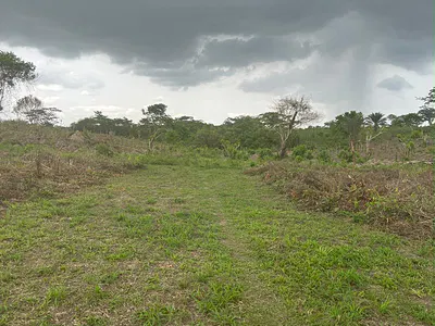 Land with Registered Survey — Trinity Garden Estate, Mowe Ofada, Ogun