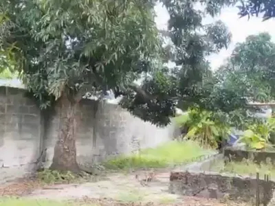 Full Plot of Land