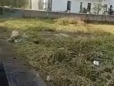 Prime 600 SQM Plot