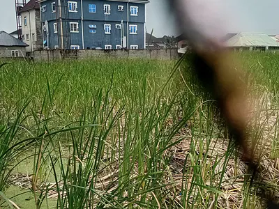 Full Plot of Land