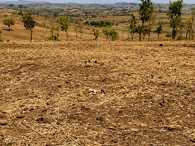 50 Hectares of Prime Land — Apo, Abuja