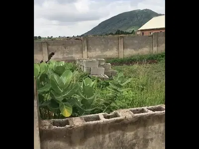 Land