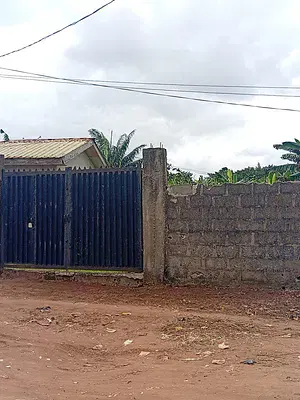 Investment Opportunity: a Piece of Land
