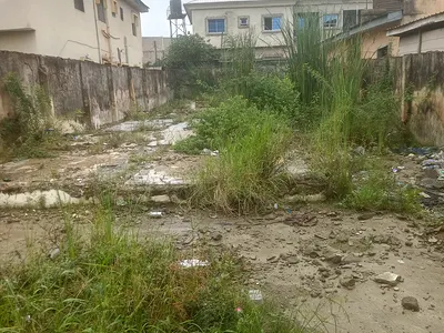Half Plot of Land
