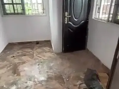 Modern Upstairs Mini Flat with BQ (Video)