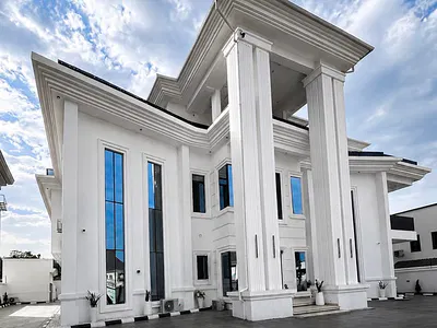Brand New Contemporary 7 Bedroom Mansion with BQ