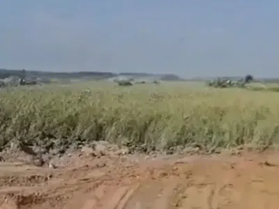 Land