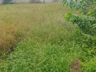 A Plot of Land