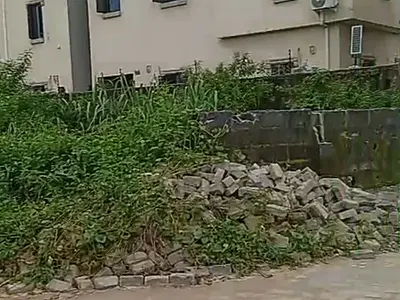 Half Plot of Land