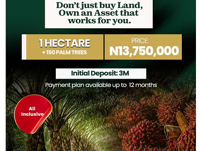 Farm Land — Abeokuta North, Ogun