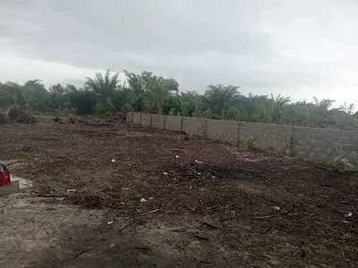 Residential Plots in a Fast-Developing Environment